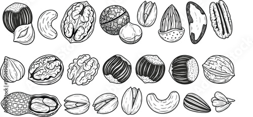 Nuts collection illustration, almond walnut pistachio cashew hazelnut peanut seeds set, healthy food ingredients, hand drawn nut varieties