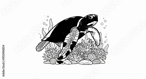 A black and white illustration of a sea turtle swimming amongst coral