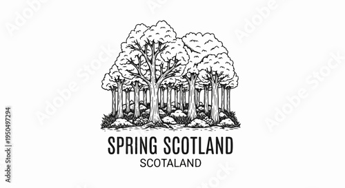 A vintage forest scene with stylized trees and text below