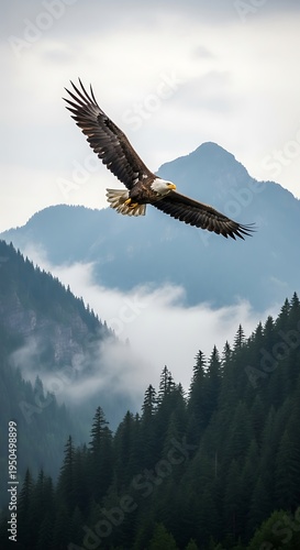 Majestic Eagle Soaring Above Misty Mountain Landscape in Alaska.