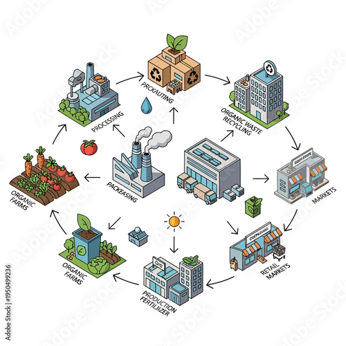 Comprehensive illustration of the organic food supply chain, from farm to market and waste recycling.