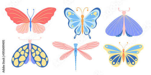 Collection of abstract illustrations with butterfly, dragonfly and moth in bright colors. Set of insects