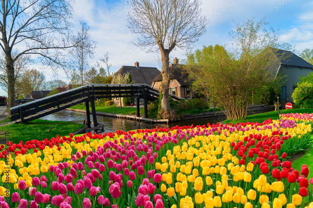 Obraz premium skyline of old town Giethoorn