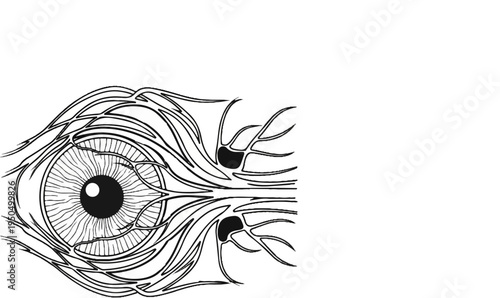 Abstract linework illustration of a stylized human eye with radiating optic nerves