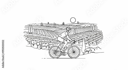 Cyclist rides through picturesque rolling hills of vineyards under a circle sun