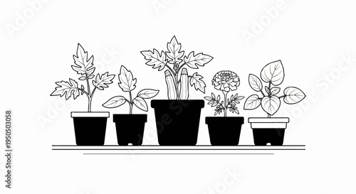 Five potted plants, including vegetables and flowers, line a shelf