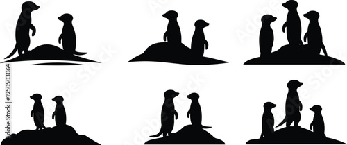 Black silhouette meerkats standing alert on mounds in groups, wildlife animal behavior vector illustration artwork design