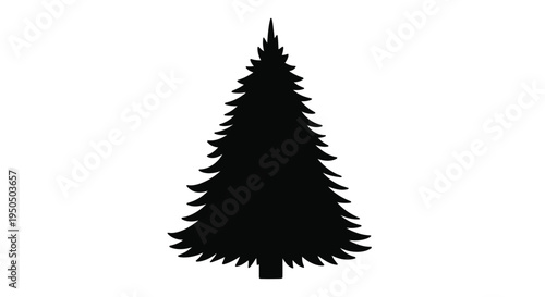 Simple black silhouette of a coniferous evergreen tree on white