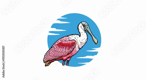 A pink bird with a spoon-shaped beak stands against a blue circle with white streaks