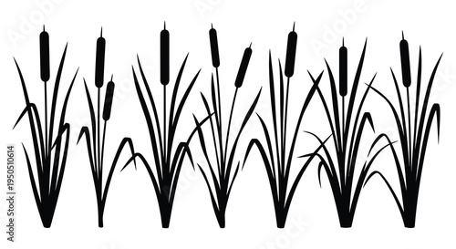 A minimalistic black and white illustration depicts several cattails with slender leaves creating a natural elegant scene high quality professional detailed