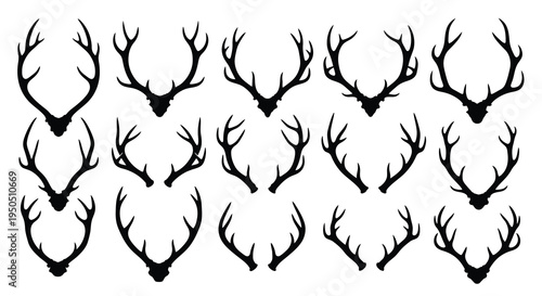 A collection of diverse black silhouettes depicting deer antlers in varying sizes and branching patterns high quality professional detailed
