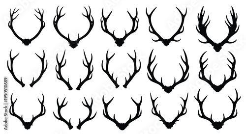 A collection of twelve black silhouettes showcases various deer antlers differing in size and branching patterns high quality professional