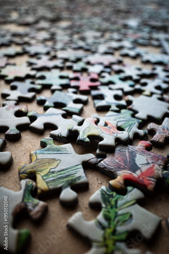 Puzzlestücke. Geduldsspiel. Klassisches P.