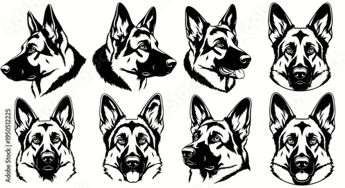 German Shepherd Dog Head Portraits - Set of 8 Vector Illustrations