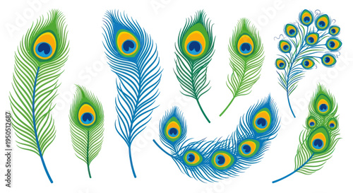 Vibrant Peacock Feathers Collection - Exotic Bird Plumage Detail