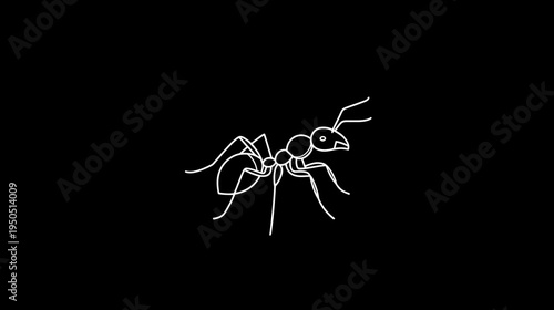 Minimalist white ant line art illustration on black background, simple insect graphic, small creature design element