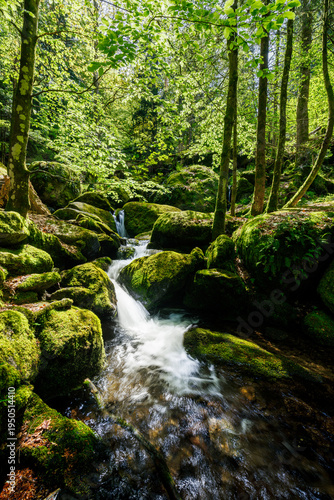 Gertelbach Waterfall with moos and green forest nationalpark Blackforest schwarzwald