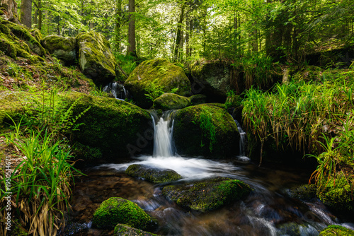 Gertelbach Waterfall with moos and green forest nationalpark Blackforest schwarzwald