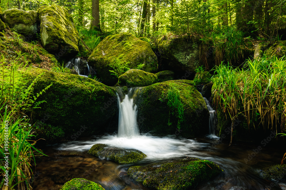 Fototapeta premium Gertelbach Waterfall with moos and green forest nationalpark Blackforest schwarzwald