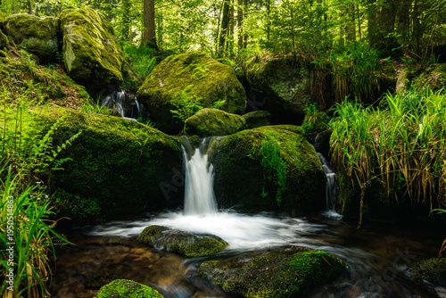 Gertelbach Waterfall with moos and green forest nationalpark Blackforest schwarzwald