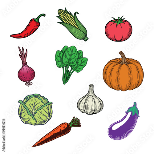 Variety of hand-drawn produce including chili pepper, corn, tomato, onion, spinach, pumpkin, cabbage, garlic, carrot, and eggplant, perfect for food and healthy eating themes.