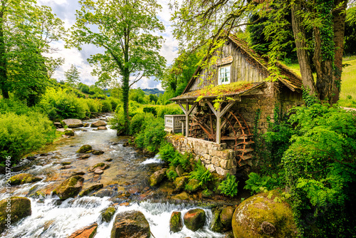 old abandoned watermill Rainbauernmühle in Nationalpark Blackforest Schwarzwald travel water flow river good light germany