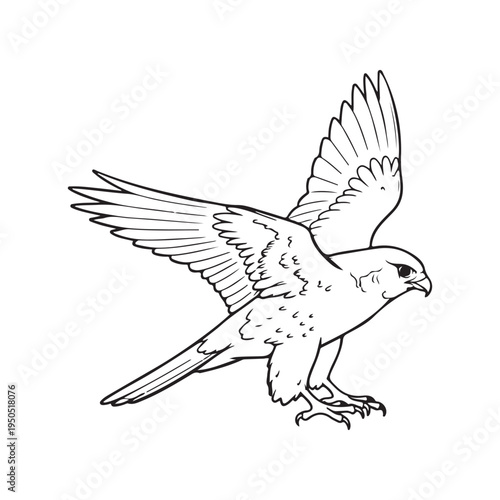A drawing of a bird with its wings spread