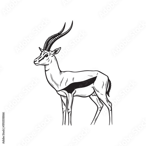 A drawing of an antelope with long horns