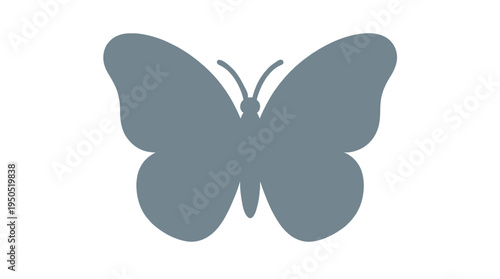 Butterfly simple grey silhouette isolated on white background