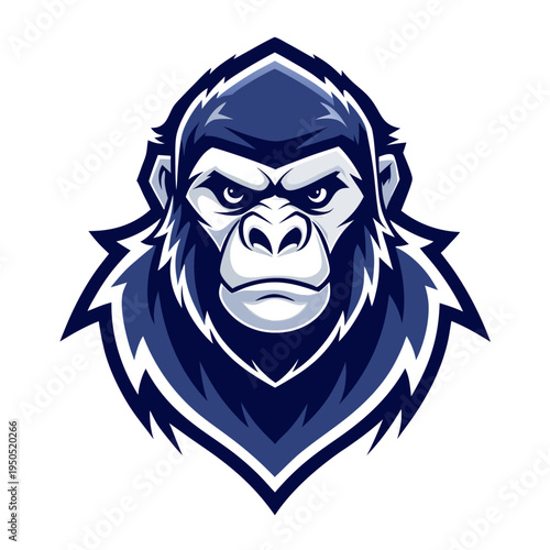 Empty modern minimalist white room with soft natural lighting and clean design for interior decor inspiration