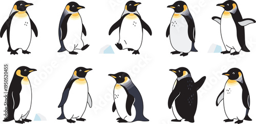 Cute emperor penguin vector character sheet featuring various poses including walking, waving, and standing on ice isolated on white background for winter Antarctic and wildlife design.