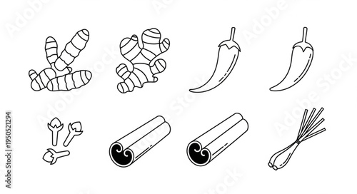 Spice Collection - Turmeric, Ginger, Chili, Cloves, Cinnamon, and Lemongrass.