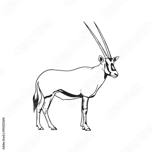 A drawing of an animal with long horns