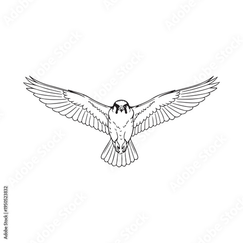 A drawing of a pair of wings with feathers