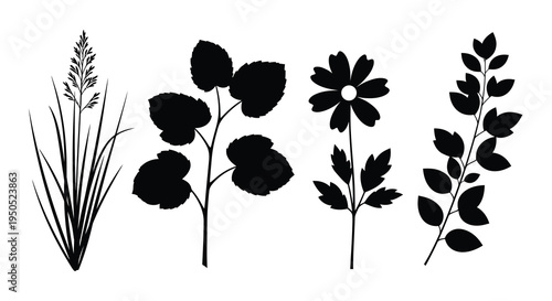 A striking black and white illustration showcases various plant silhouettes including grasses leafy stems and blossoming flowers high quality