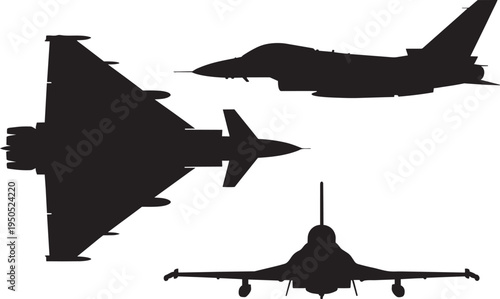 Nature Botanical Leaves Silhouette Collection - Organic Foliage Sprays, Maple and Oak Leaf Vector Icons for Eco-Friendly Design