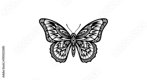 Detailed Butterfly Illustration with Intricate Wing Patterns in Black and White.
