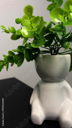 Green Houseplant in Decorative Ceramic Pot – Minimalist Home Decor, Modern Indoor Plant

A clean and stylish green houseplant in a decorative ceramic pot, captured in a minimalist home interior settin