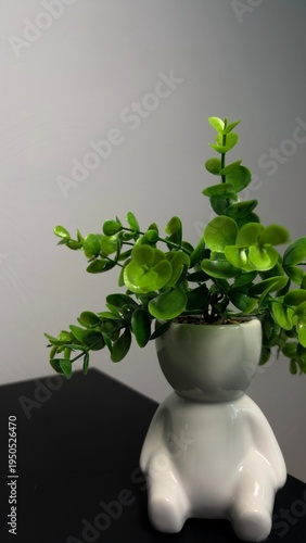 Green Houseplant in Decorative Ceramic Pot – Minimalist Home Decor, Modern Indoor Plant

A clean and stylish green houseplant in a decorative ceramic pot, captured in a minimalist home interior settin