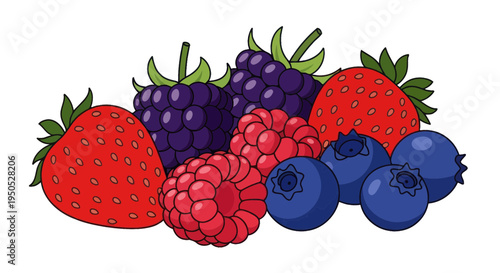 Assorted Fresh Berries: Strawberries, Blueberries, Raspberries, and Blackberries