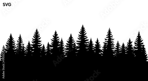 Black silhouette of dense pine forest against a white background