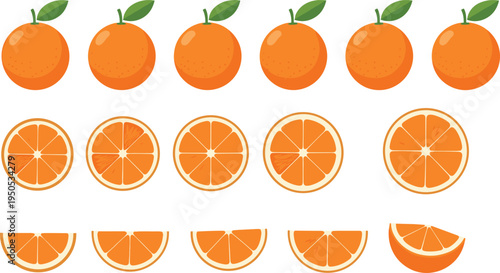 Orange fruit slices and whole oranges set. Fresh citrus cross sections and wedges collection. Minimal fruit illustration for juice, packaging, healthy food and grocery design.