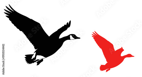 Canada Geese Silhouettes Flying