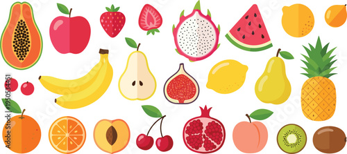 Tropical fruit collection set. Papaya, banana, pineapple, watermelon, citrus and berries. Colorful fresh fruit icons illustration for healthy food, summer diet and grocery design.