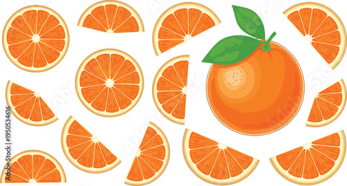 Orange slices collection with whole orange. Fresh citrus wedges and round slices with leaf. Juicy vitamin fruit illustration set for juice, summer food and healthy diet design.