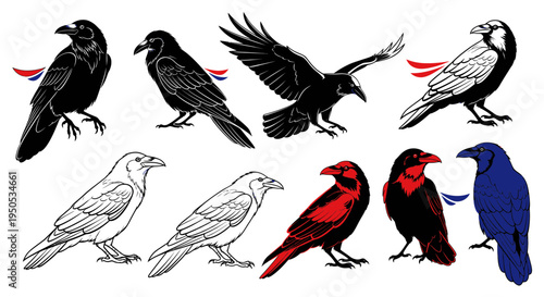 Diverse Raven Collection: Black, White, Red, Blue with French Flag Accents