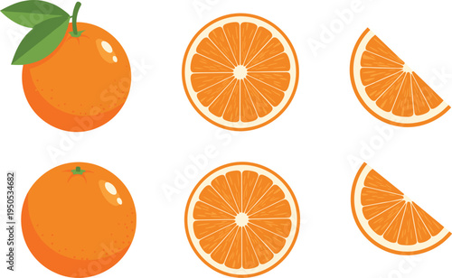 Orange fruit collection. Whole orange, sliced cross section and juicy wedges. Fresh citrus fruit illustration set for juice, vitamin food, healthy diet and market design.