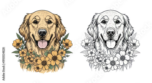 Golden Retriever Dog Portrait with Floral Wreath - Color and Line Art