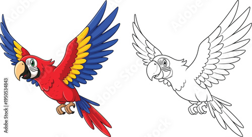 Brightly colored macaw parrot in flight line art and colored version