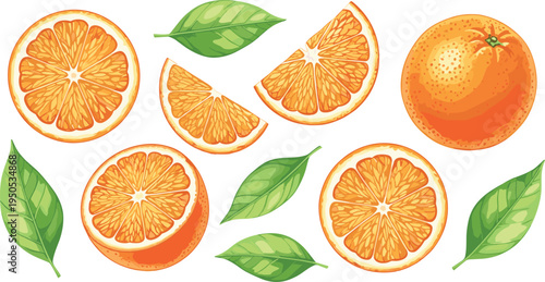 Orange fruit slices and leaves set. Whole orange, juicy citrus cross sections and wedges with green leaves. Fresh vitamin fruit illustration for juice and healthy food design.